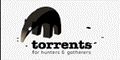 Torrents Search: Music, Movies, TV Shows, Games and more. Поиск на Английском, но можно и на русском языке.